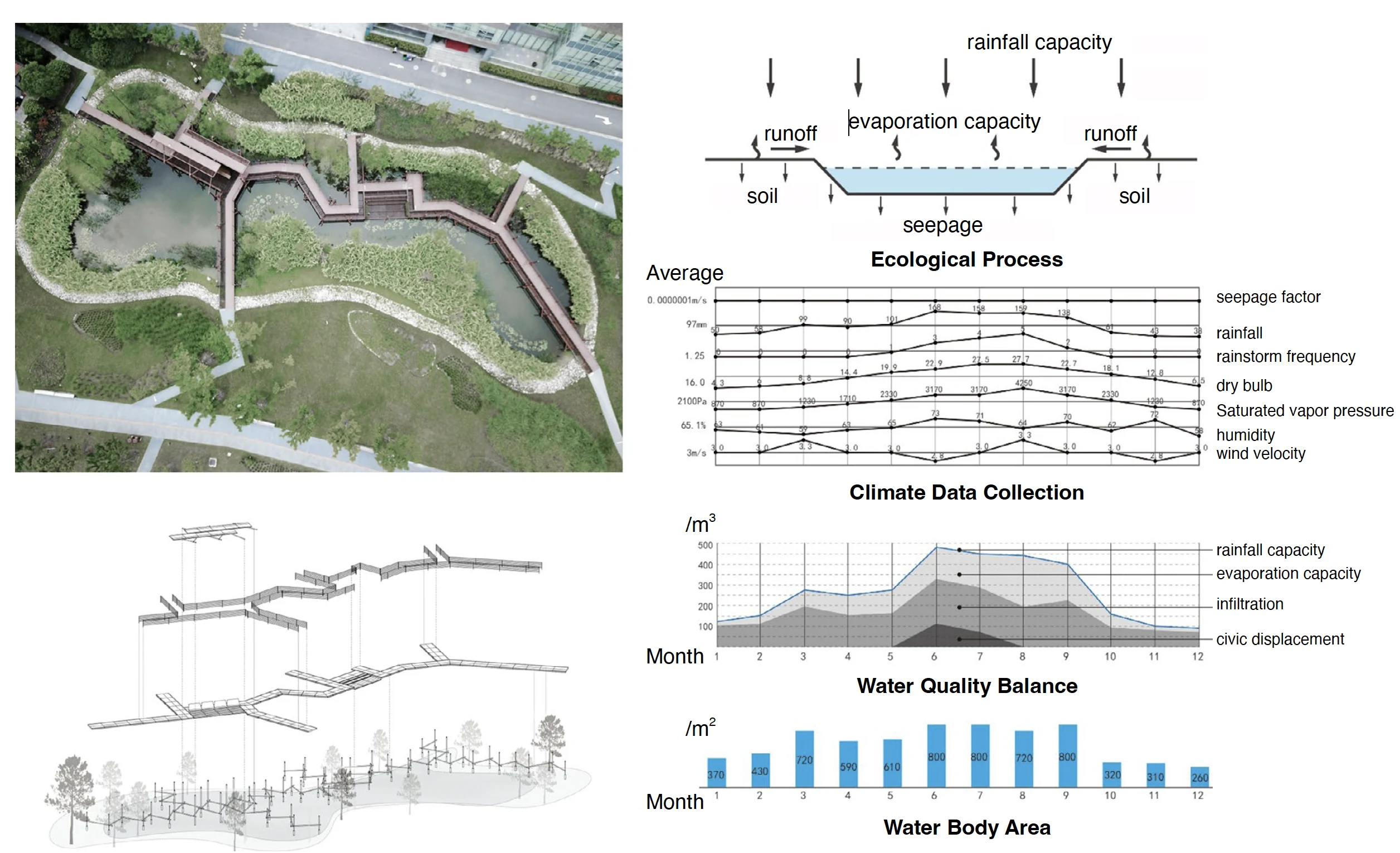 Ecological process diagrams for the waterfront rain garden